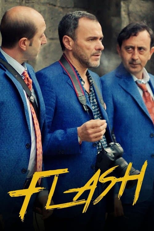 Flashのポスター