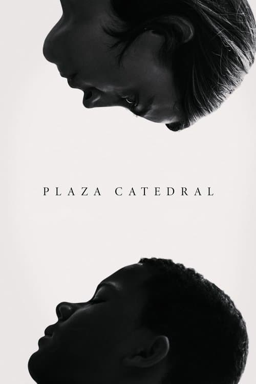 Plaza Catedralのポスター