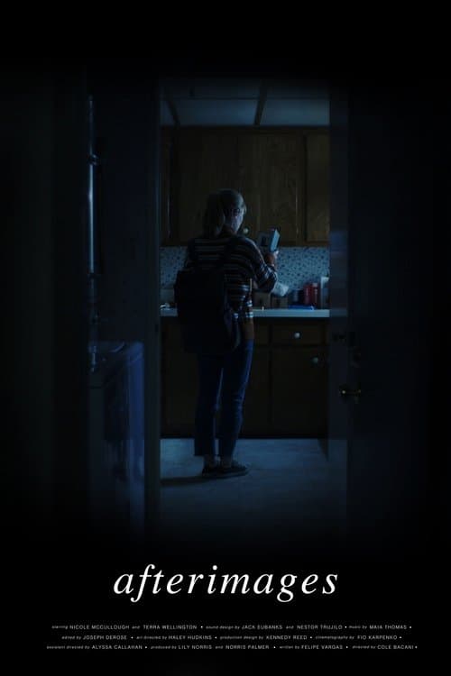 Afterimagesのポスター