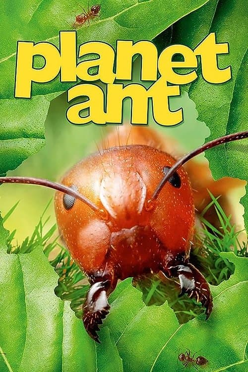 Planet Ant: Life Inside The Colonyのポスター
