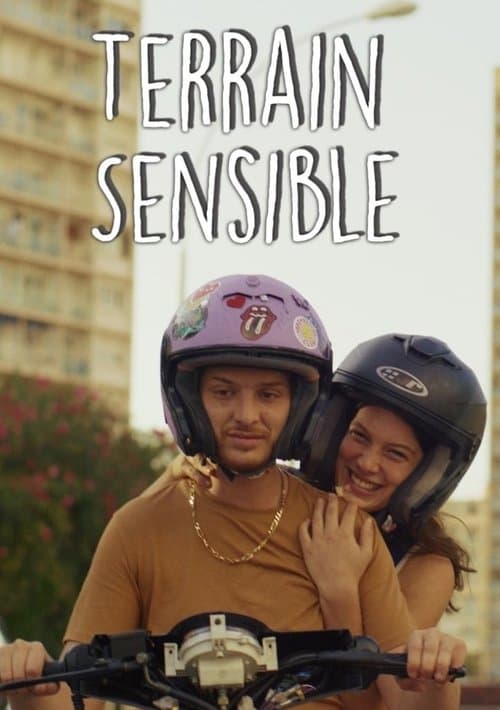 Terrain Sensibleのポスター