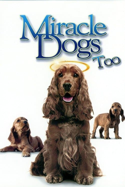 Miracle Dogs Tooのポスター