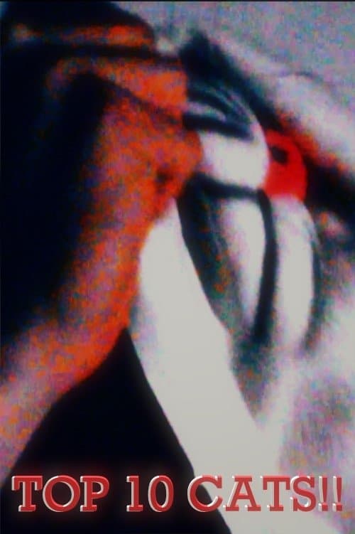 Top 10 Cats!!のポスター