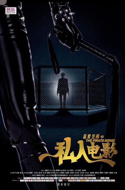 盗爱空间之私人电影のポスター