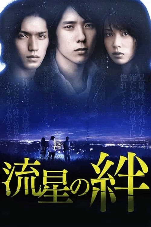 流星の絆のポスター