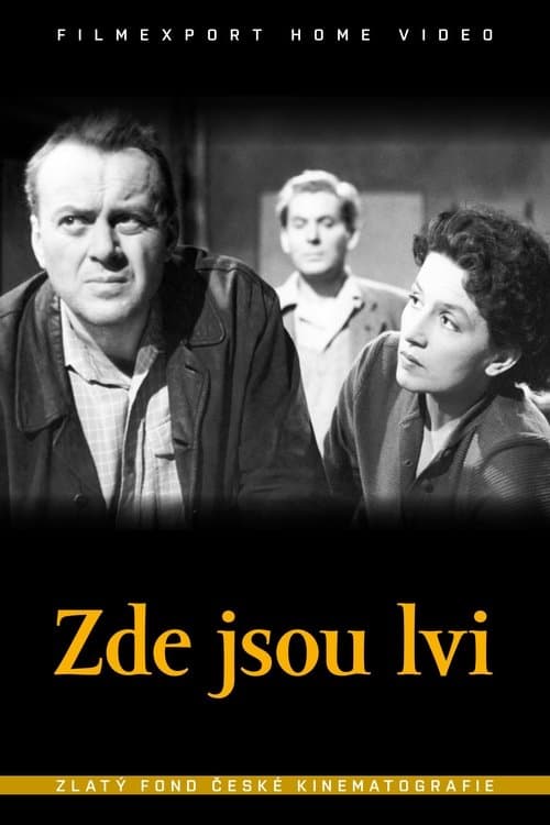 Zde jsou lviのポスター