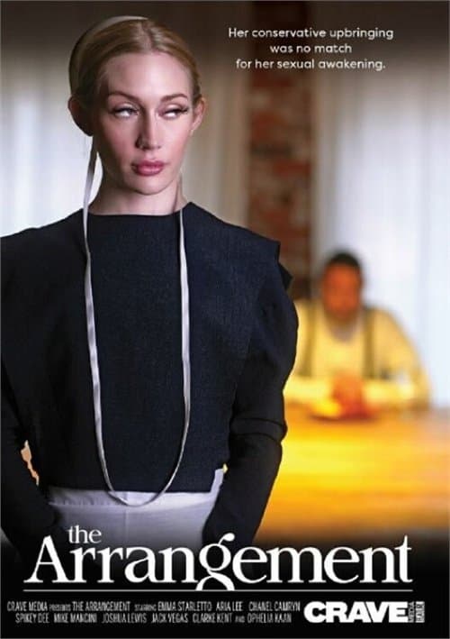 The Arrangementのポスター