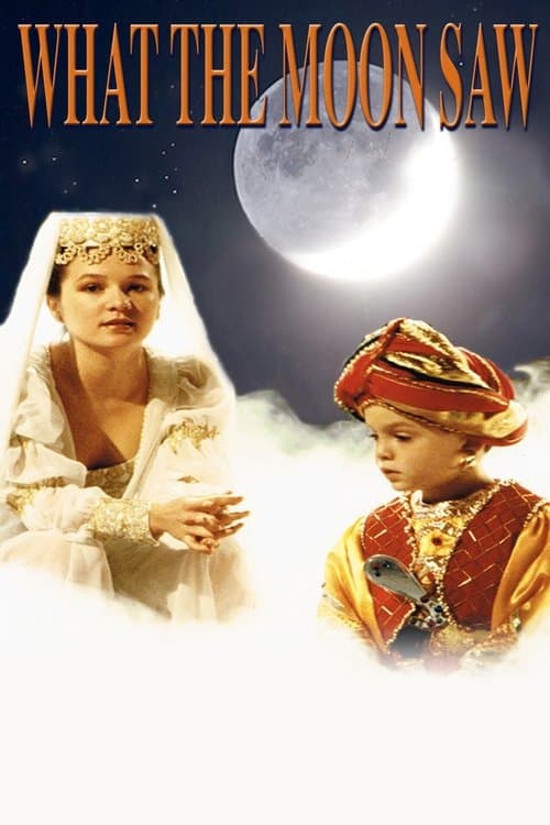 What the Moon Sawのポスター