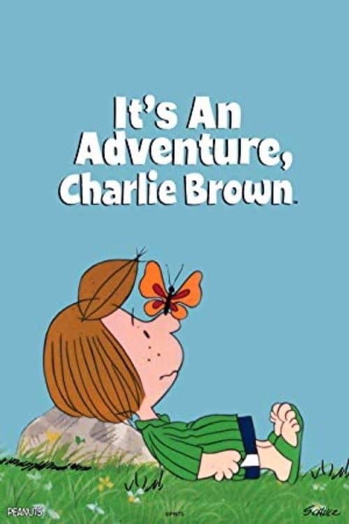 It's an Adventure, Charlie Brownのポスター