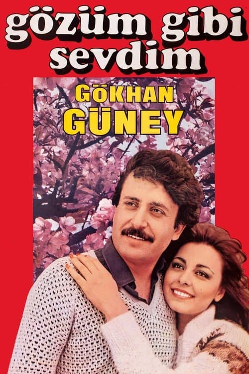 Gözüm Gibi Sevdimのポスター