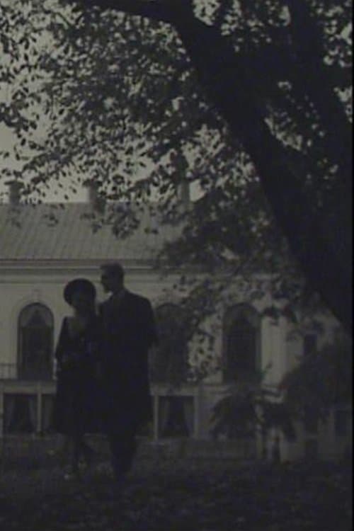 En Stockholmssilhuettのポスター