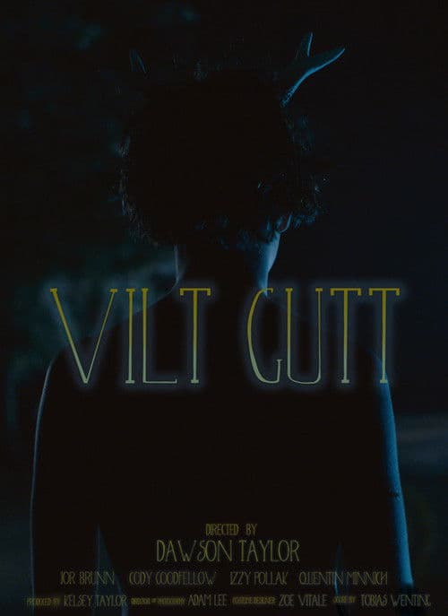 Vilt Guttのポスター