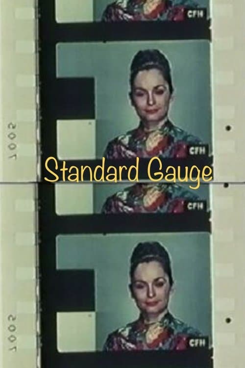 Standard Gaugeのポスター