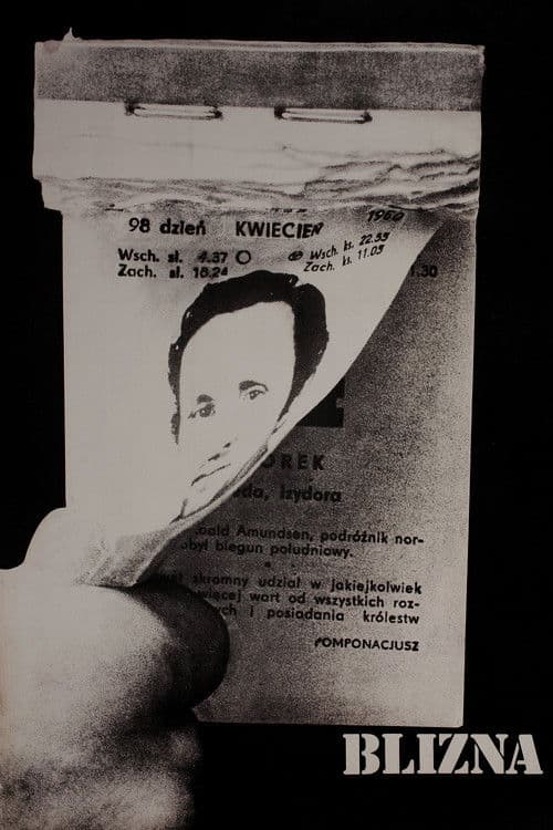 Bliznaのポスター