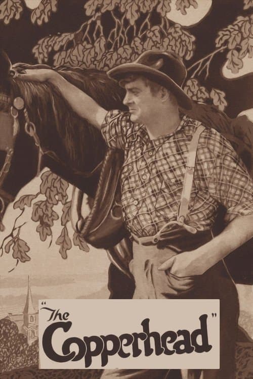 The Copperheadのポスター