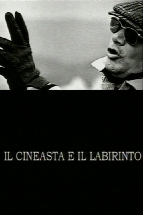 Il cineasta e il labirintoのポスター