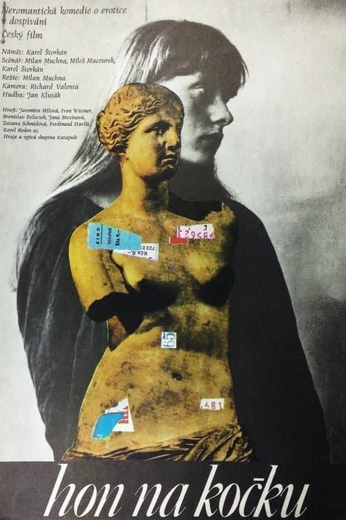 Hon na kočkuのポスター