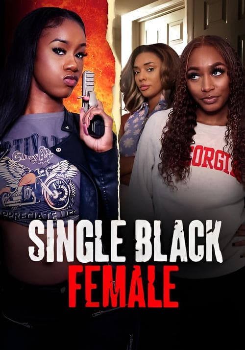 Single Black Femaleのポスター