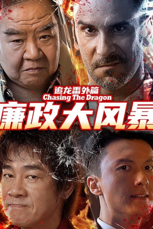 追龙番外篇之廉政大风暴のポスター