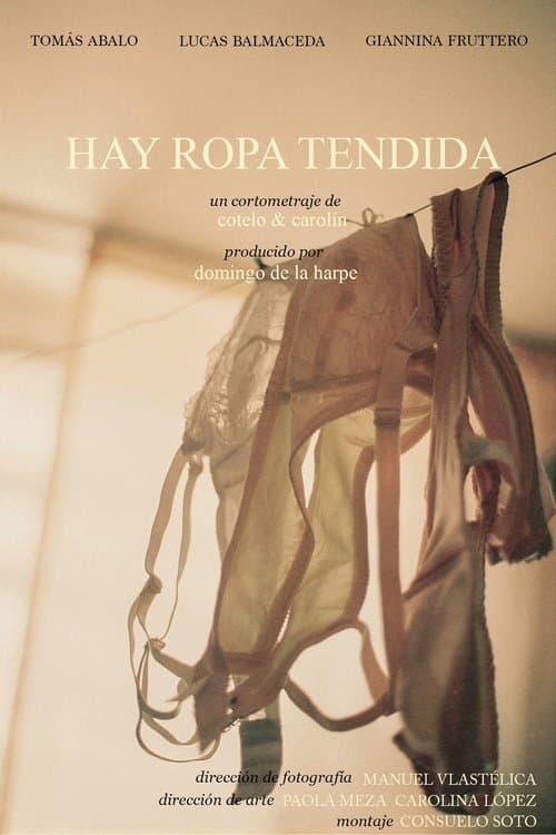 Hay ropa tendidaのポスター
