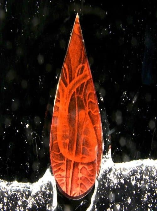 Psalmsのポスター