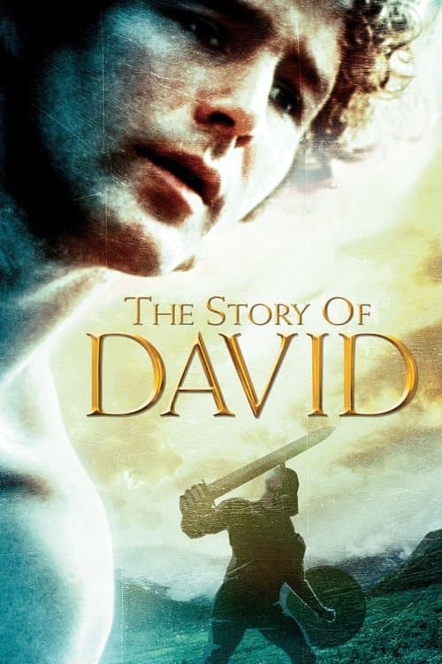 The Story of Davidのポスター