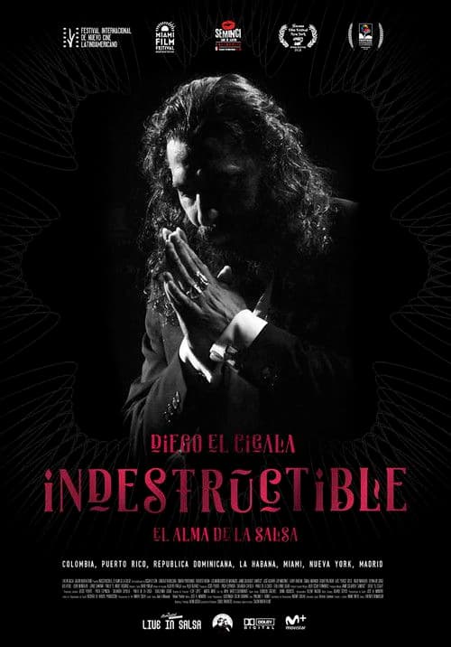 Indestructible: El alma de la salsaのポスター