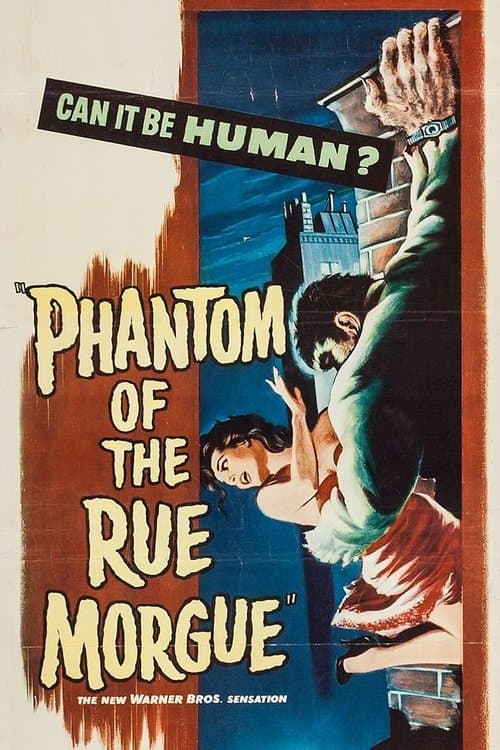 Phantom of the Rue Morgueのポスター