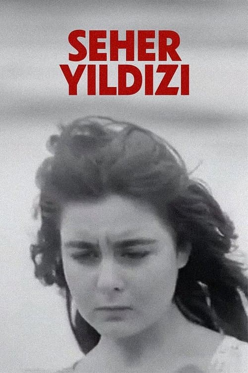 Seher Yıldızıのポスター
