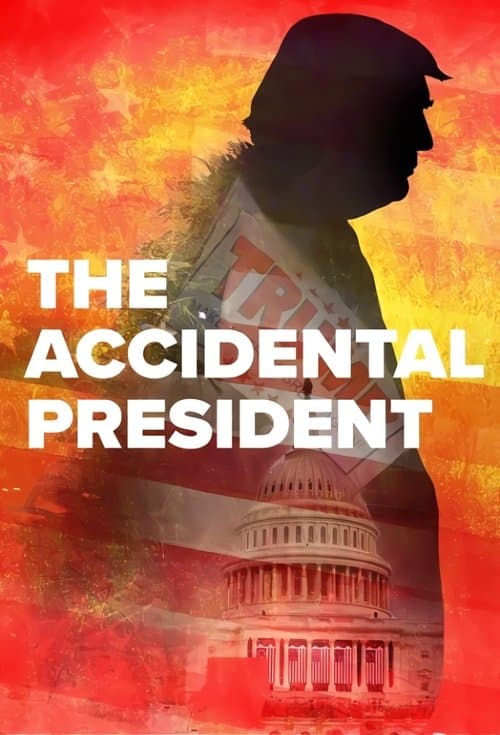 The Accidental Presidentのポスター