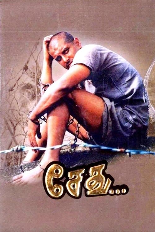 சேது...のポスター