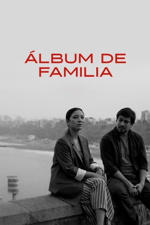 Álbum de familiaのポスター