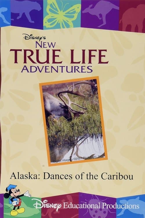 Alaska: Dances of the Caribouのポスター