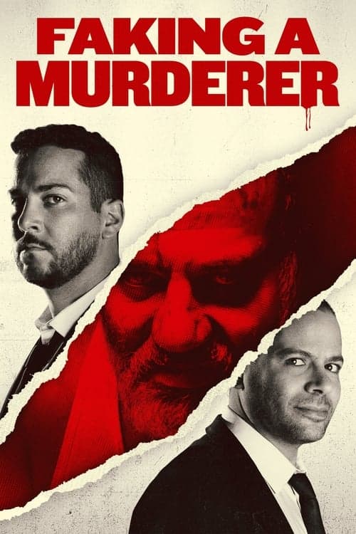 Faking a Murdererのポスター