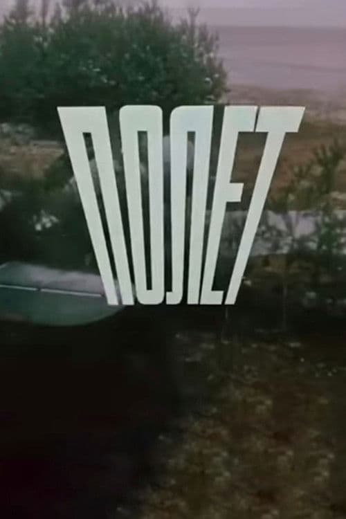 Полётのポスター