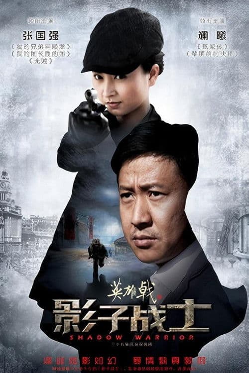 英雄戟之影子战士のポスター