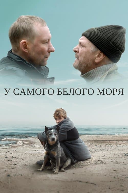 У самого белого моряのポスター