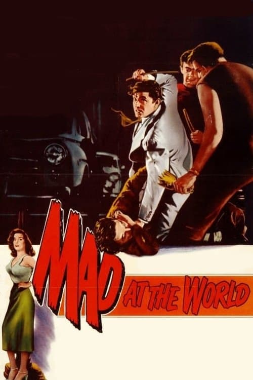Mad at the Worldのポスター