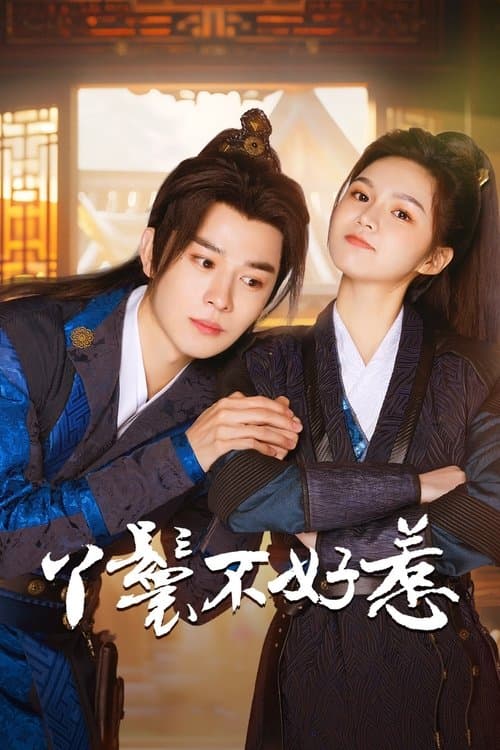 丫鬟不好惹のポスター