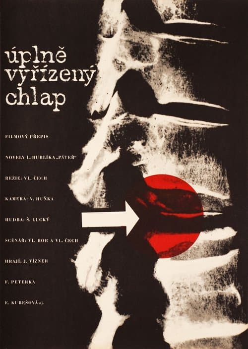 Úplně vyřízený chlapのポスター