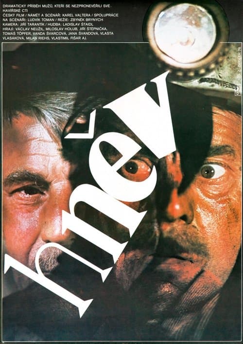 Hněvのポスター