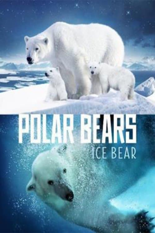 Polar Bears: Ice Bearのポスター