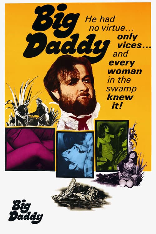 Big Daddyのポスター