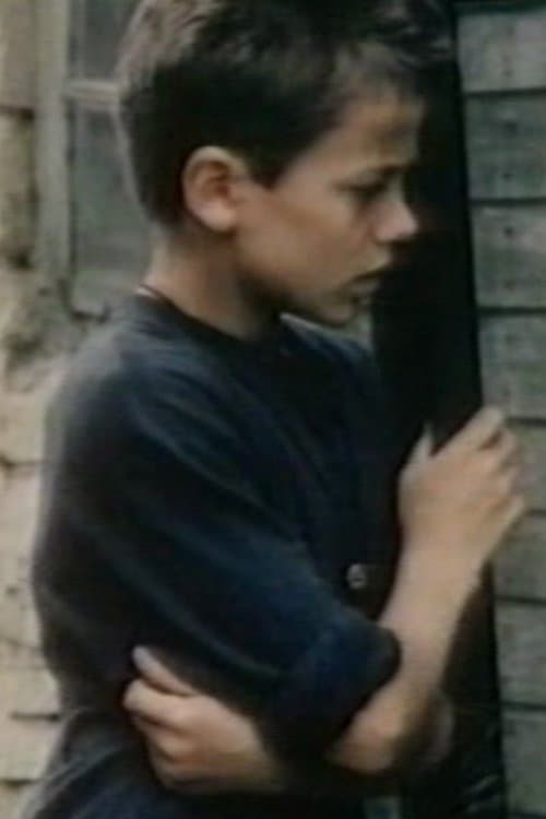 Svešaisのポスター