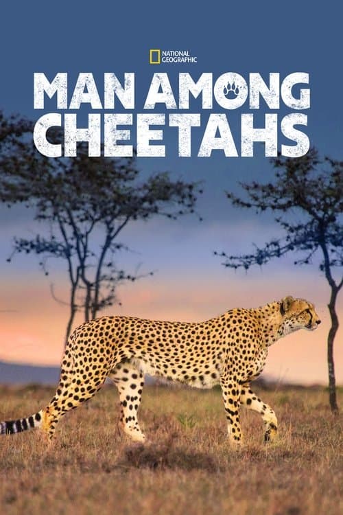 Man Among Cheetahsのポスター
