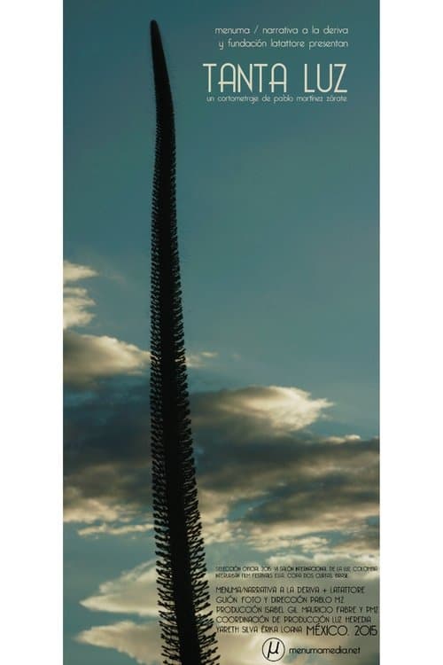 Tanta Luzのポスター