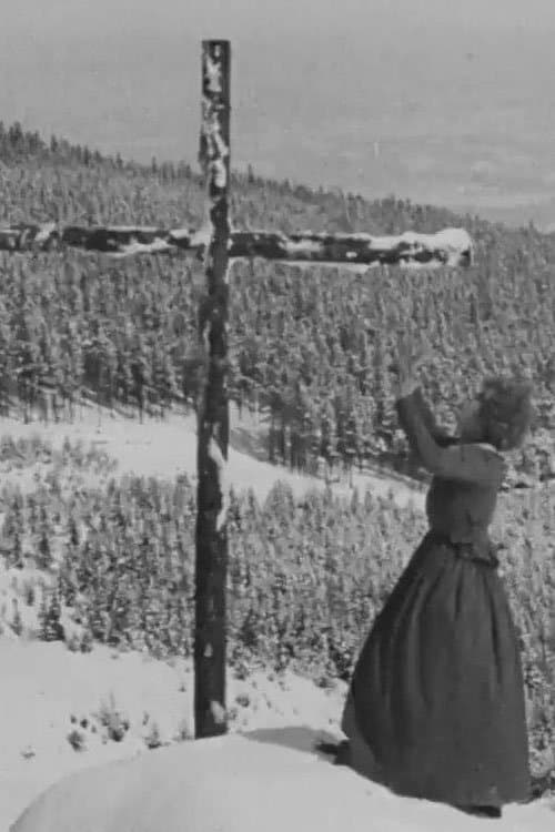 Winterstürmeのポスター