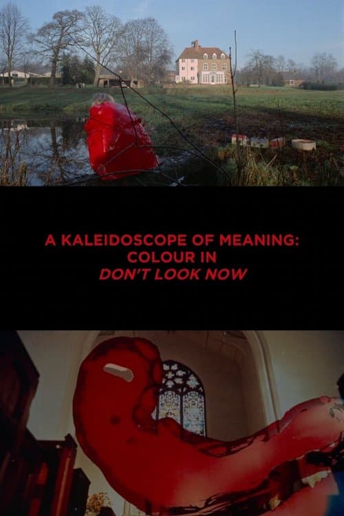 A Kaleidoscope of Meaning: Colour in Don't Look Nowのポスター