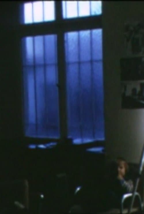 Home Movies 1971-81のポスター