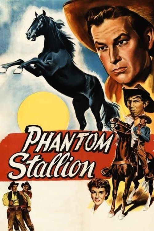 Phantom Stallionのポスター